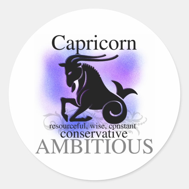 Capricorn About You Classic Round Sticker (Front)