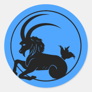 Capricorn Classic Round Sticker