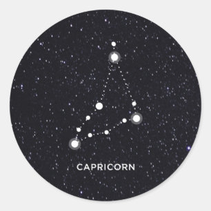 Capricorn Classic Round Sticker