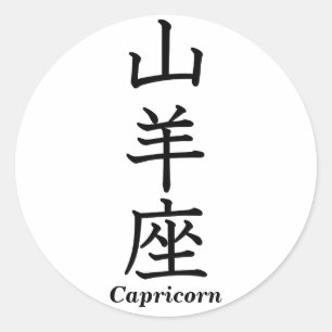 Capricorn Classic Round Sticker