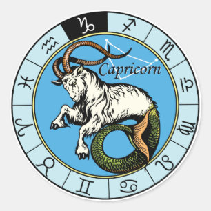 capricorn classic round sticker