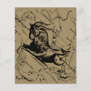 Capricorn Constellation Hevelius 1690 on Taupe Flyer