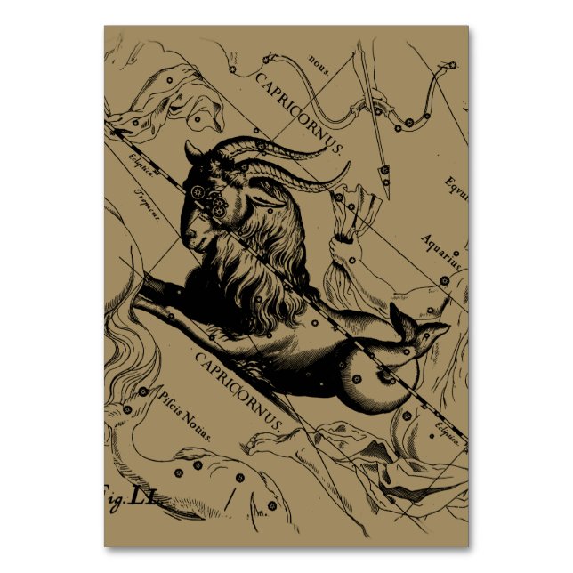 Capricorn Constellation Hevelius 1690 on Taupe Table Number (Front)