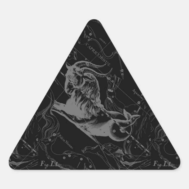 Capricorn Constellation Map Hevelius Engraving Triangle Sticker (Front)
