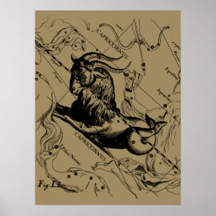Capricorn Constellation Vintage Engraving Hevelius Poster