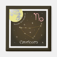 Capricorn December 22 to January 20 Magnet
