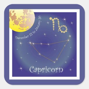 Capricorn December 22 to January 20 Sticker