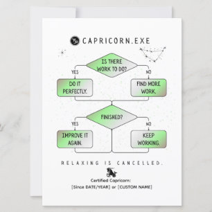 Capricorn Flowchart Funny Zodiac Humor (colourful)