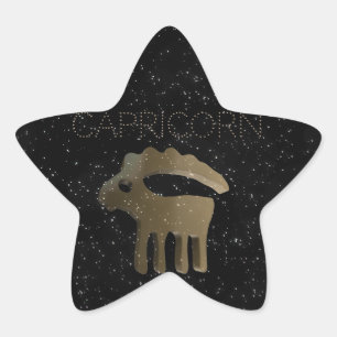 Capricorn golden sign star sticker