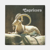 Capricorn Magnet!