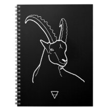 Capricorn