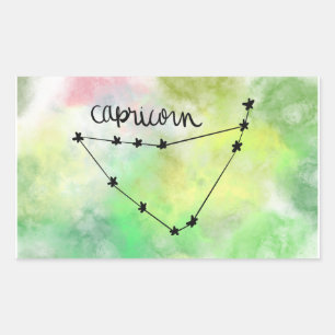 Capricorn Star Baby Sticker