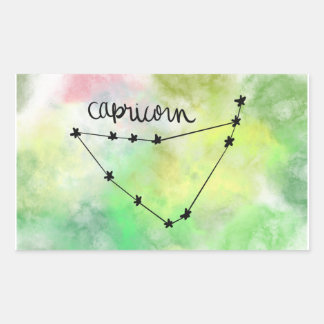 Capricorn Star Baby Sticker
