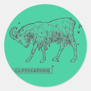 Capricorn Sticker