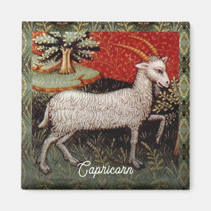 Capricorn the Goat Zodiac Sign Birthday Party Magnet