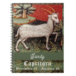 Capricorn the Goat Zodiac Sign Birthday Party Notebook