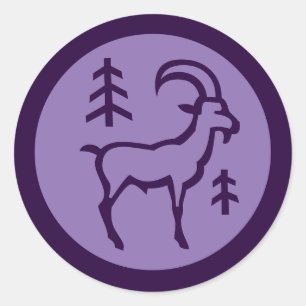 Capricorn Zodiac Sign Classic Round Sticker