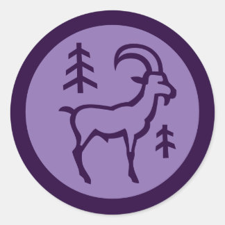 Capricorn Zodiac Sign Classic Round Sticker