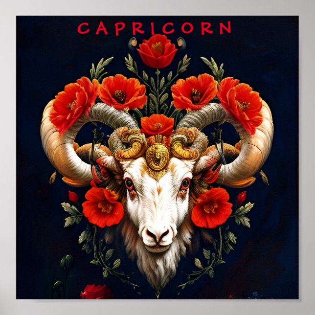 Capricorn Zodiac Sign Poster (Front)