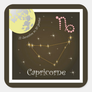 Capricorne 22 décembre au 20 janvier stickers