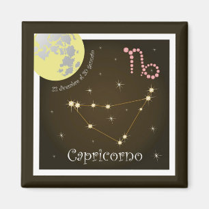 Capricorno 22 dicembre al 20 gennaio Magnet
