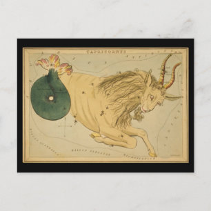 Capricornus (Capricorn) Postcard