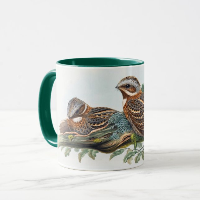 Caprimulgus Ruficollis  Mug (Front Left)