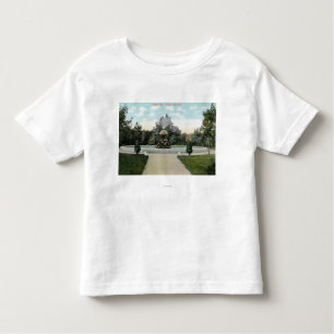 Capron Park View of the Fountain Toddler T-Shirt