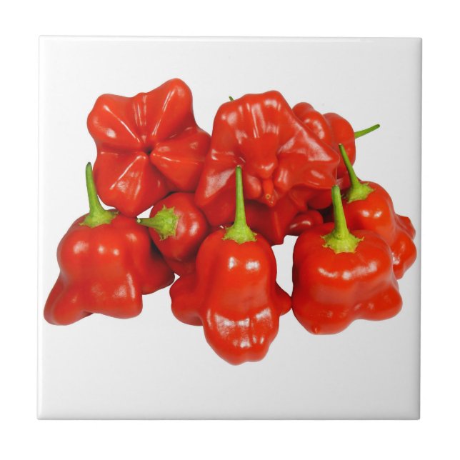 Capsicum Chinense Chili Tile (Front)
