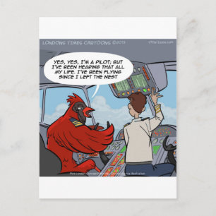 Captain Byrd Flies A Jumbo Jet Funny Postcard