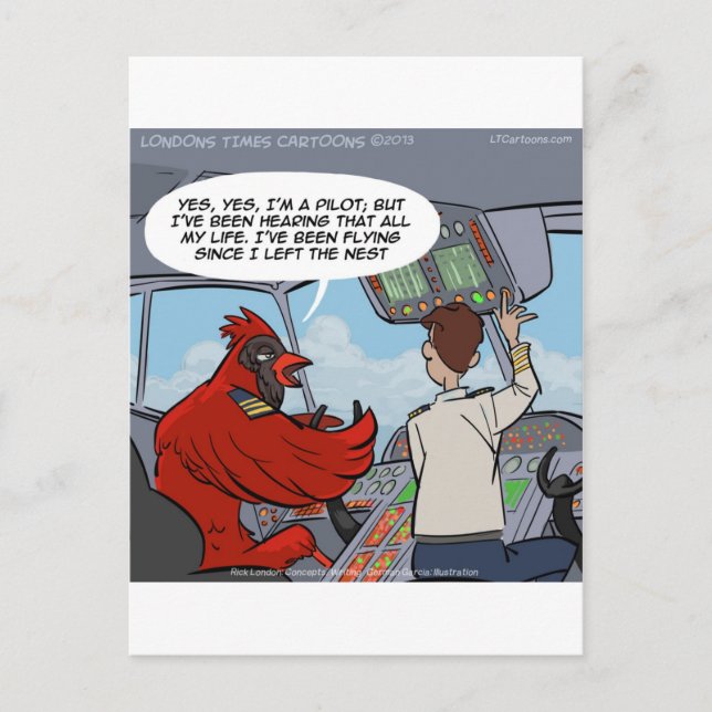 Captain Byrd Flies A Jumbo Jet Funny Postcard (Front)