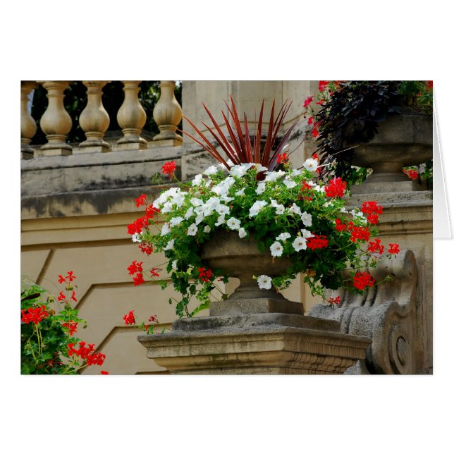 Captain's Square Flowers (Front Horizontal)