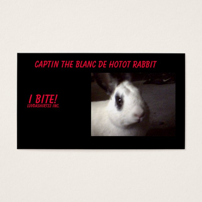 captin001, Captin The Blanc De Hotot Rabbit, I ... (Front)