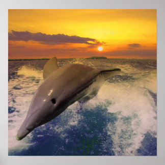 Captiva Dusk Poster