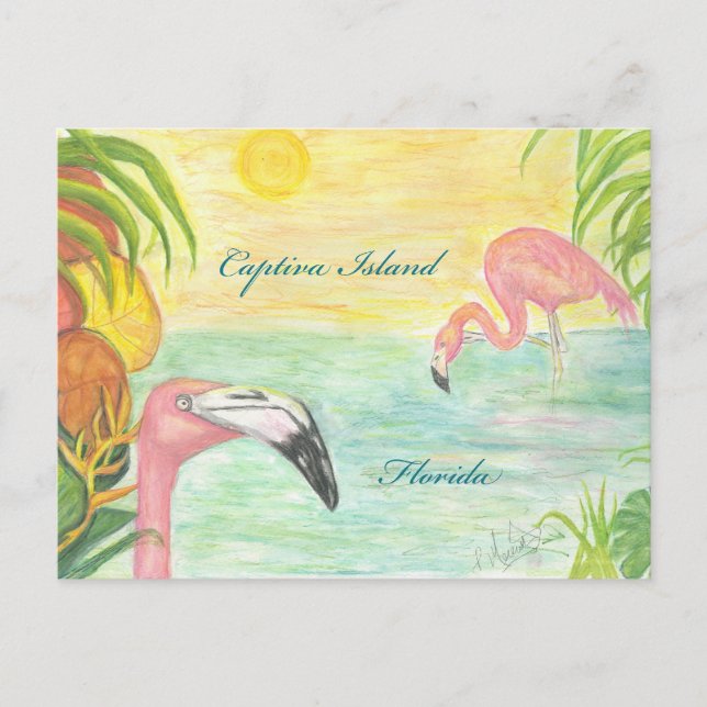 Captiva Island Flamingos Florida Art Postcard (Front)