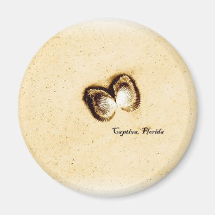Captiva Shells Magnet