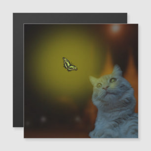 Captivated by Beauty: Cat Mesmerized by Butterfly