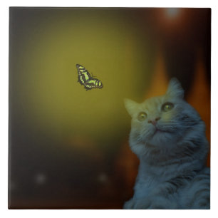 Captivated by Beauty: Cat Mesmerized by Butterfly Ceramic Tile