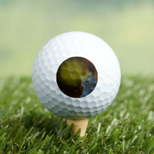 Captivated by Beauty: Cat Mesmerized by Butterfly Golf Balls