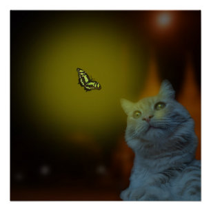Captivated by Beauty: Cat Mesmerized by Butterfly Poster