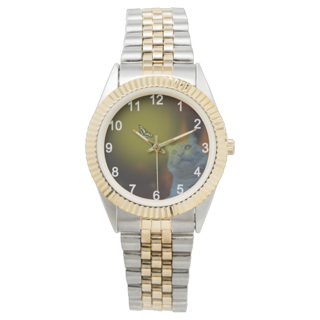 Captivated by Beauty: Cat Mesmerized by Butterfly Watch (Front)