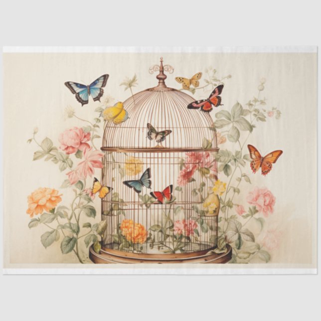 Captivating Beauty: Birdcage Decoupage Tissue Paper (Front)
