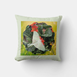 Captivating Luna Moth     Cushion
