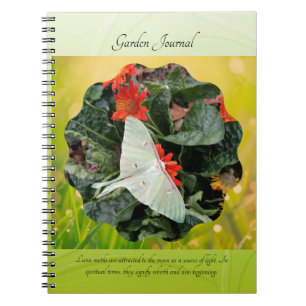 Captivating Luna Moth Notebook