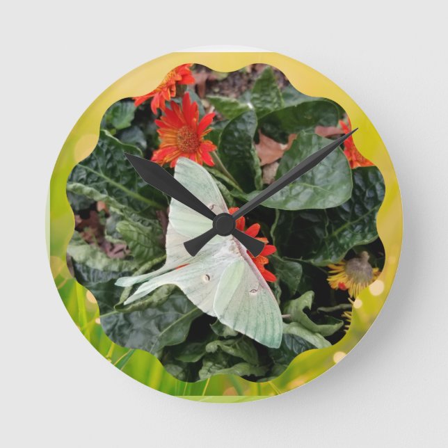Captivating Luna Moth   Round Clock (Front)