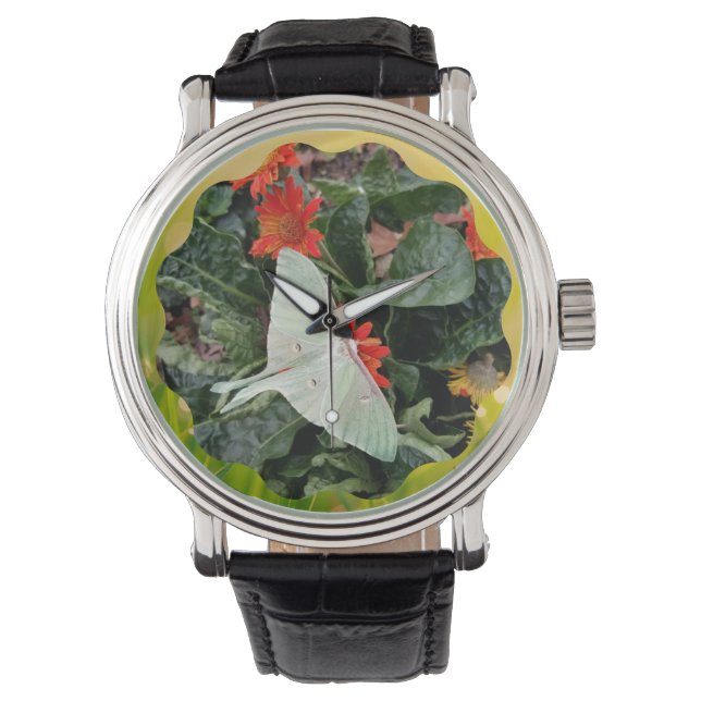 Captivating Luna Moth  Watch (Front)