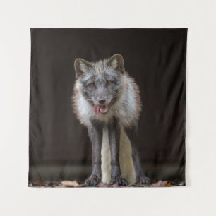 Captivating Silver Fox Tapestry