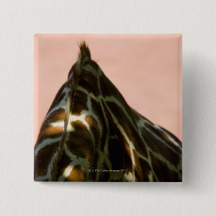 Captive animal 15 cm square badge