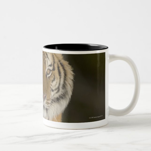 Captive, Duluth, Minnesota, USA Two-Tone Coffee Mug (Right)