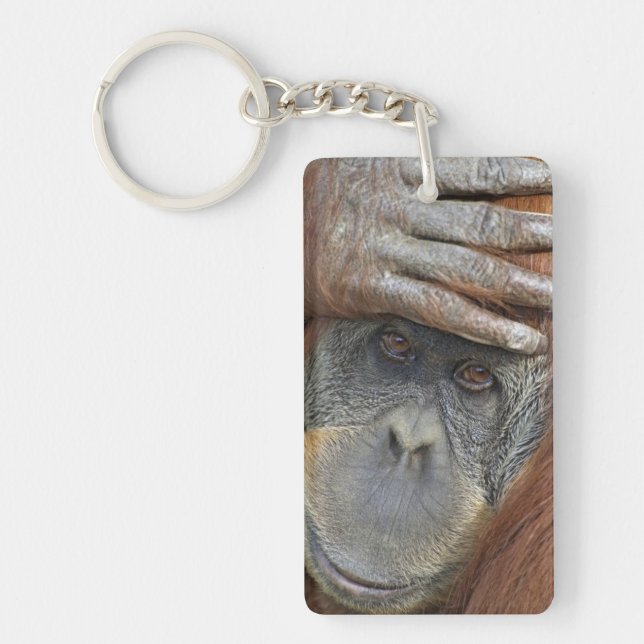 Captive female Sumatran Orangutan Key Ring (Front)